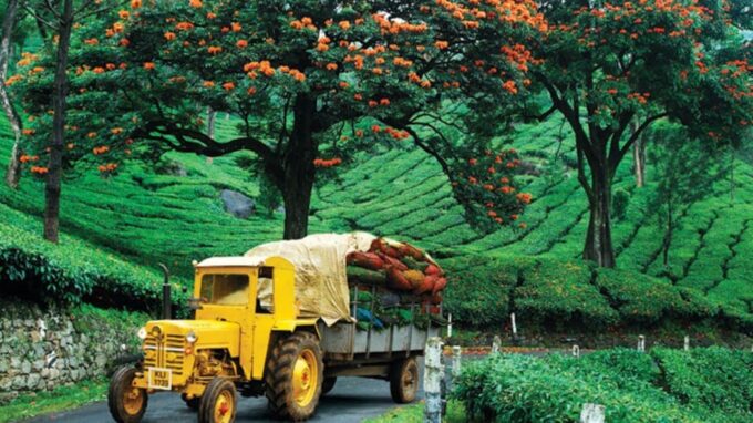 Nature Beauty, Backwater of Kerala Tour (05 Nights/06 Days) - Contact Details