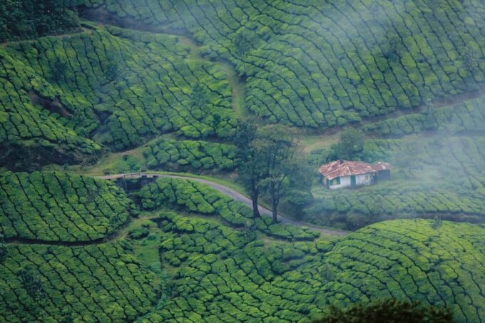 Nature Beauty, Backwater of Kerala Tour (05 Nights/06 Days) - Frequently Asked Questions