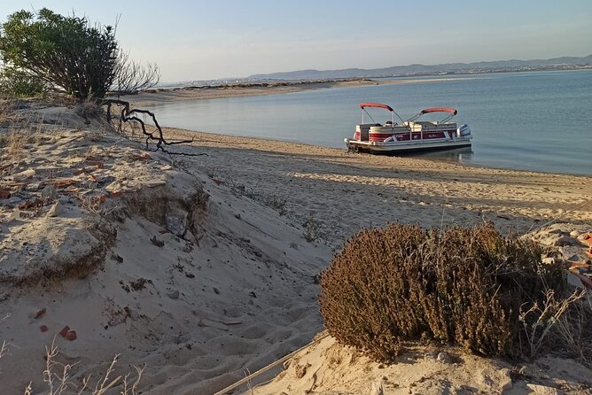 Nature Catamaran Tour From Faro - Meeting Point and Location