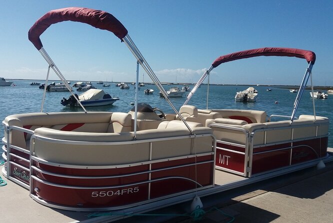 Nature Catamaran Tour From Faro - Infant Seating and Participant Requirements