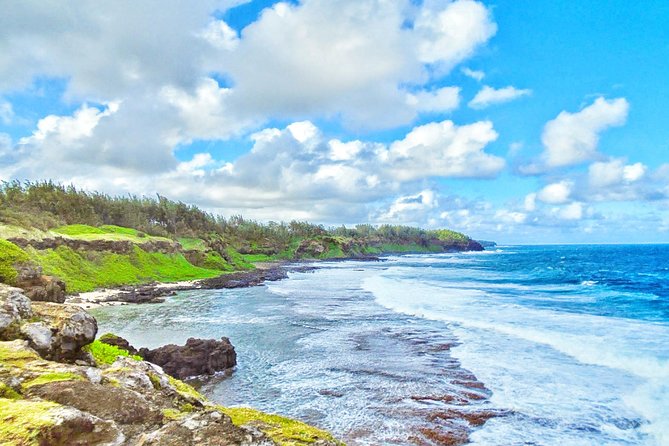 Nature Discovery Tour: Dolphins, Tortoises, the Wild South & More - Questions About Your Stay