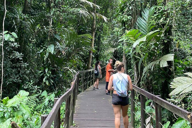 Nature & Forest Therapy Guided Walk in Puerto Viejo - Key Points