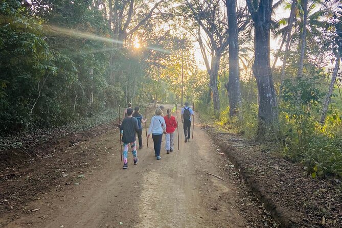 Nature & Forest Therapy Guided Walk in Puerto Viejo - Whats Included and Excluded