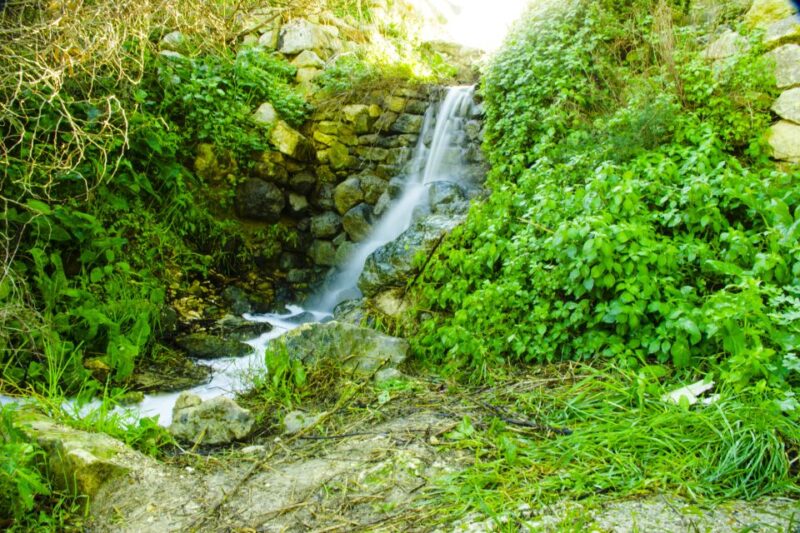 Nature Highlights Private Walking Tour With Transport - Binġemma Valley