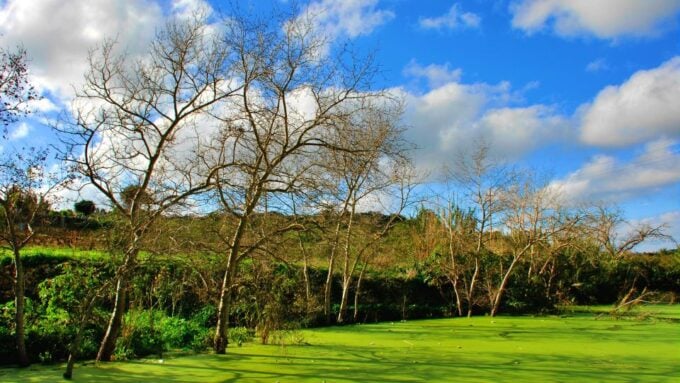 Nature Highlights Private Walking Tour With Transport - Frequently Asked Questions