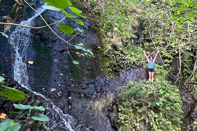Nature Hike to Waterfall - Inclusions and Accessibility