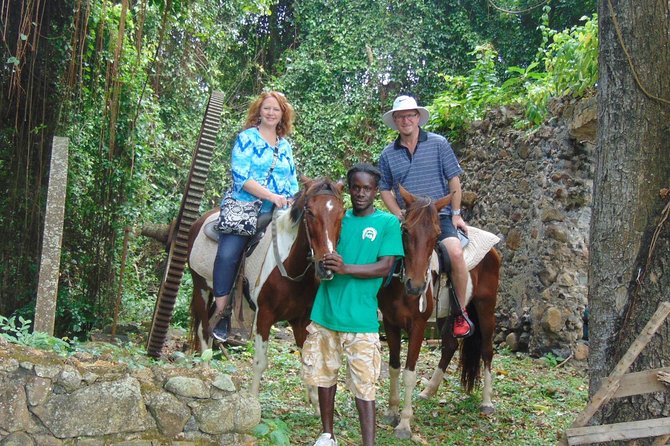 Nature & Historical Horseback Riding Tours St. Lucia - Customer Experiences and Testimonials