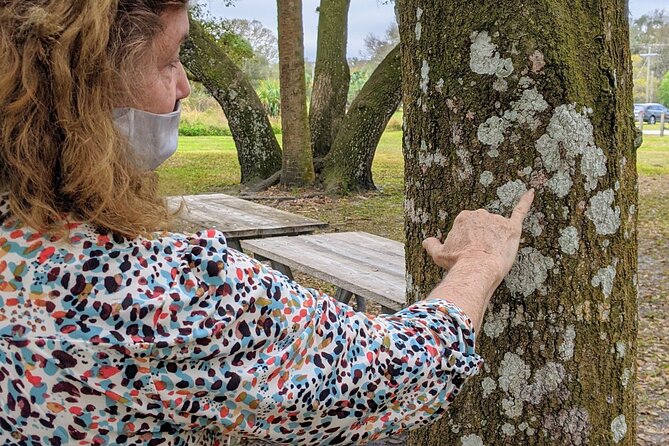 Nature Immersion Experience in Jupiter - The Guided Hike