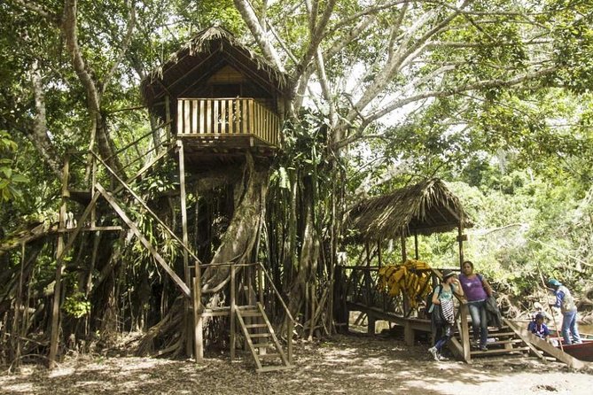 Nature in Its Pure Form - Alto Mayo 3d/2n - Accommodations and Meals