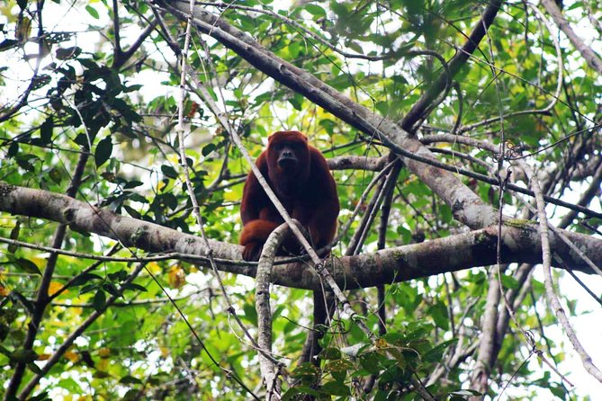 Nature in Its Pure Form - Alto Mayo 3d/2n - Booking and Cancellation Policy