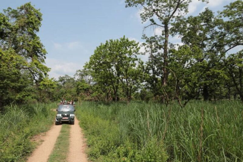 Nature Jungle Safari in Chitwan National Park 2 Night 3 Days - Diverse Wildlife and Habitats