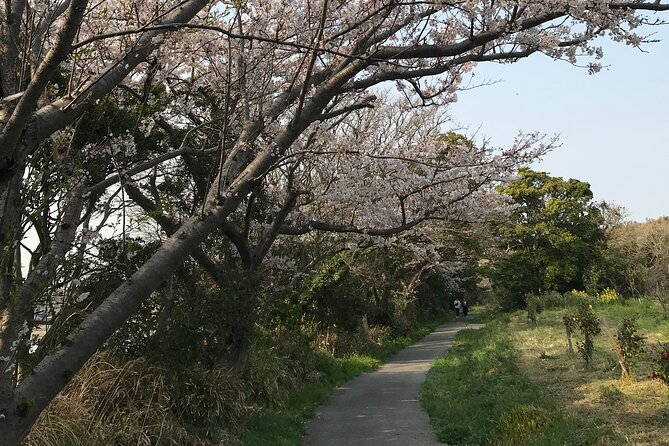 Nature Observation, Tumulus, Arts, Kobo Trails Tour of Sakushima - Tour Duration and Meeting Point