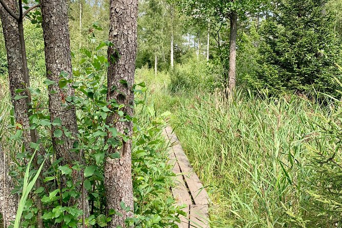 Nature Reserve Hiking Tour With Campfire Lunch - Additional Information
