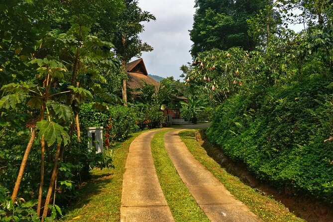 Nature & Spiritual Trails of Coorg (2 Hours Guided Walking Tour) - Group Size and Meeting Point