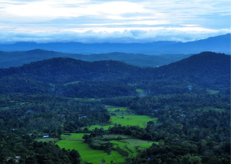 Nature & Spiritual Trails of Coorg (Guided Walking Tour) - Tour Features