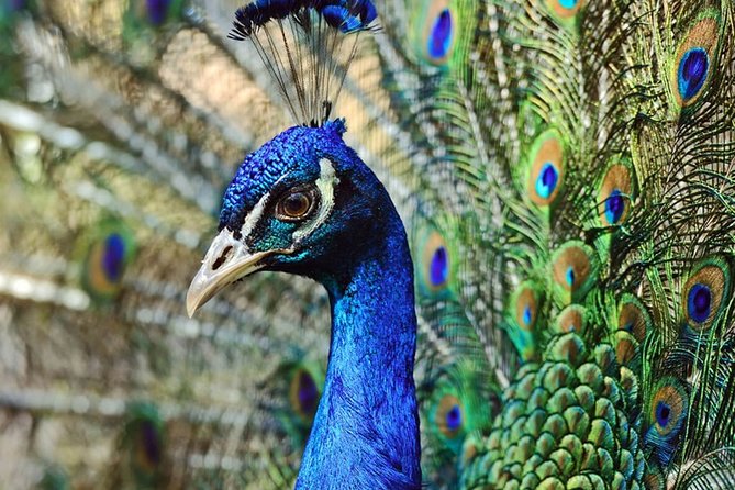 Nature Sri Lanka - Key Points