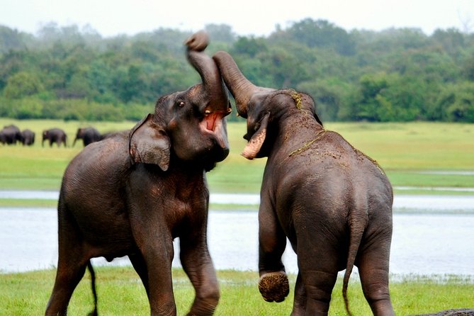 Nature Sri Lanka - Health and Safety Guidelines