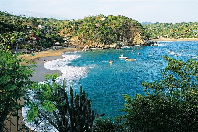Nature Sun and 5 Beaches in the Magic Town of Mazunte - Local Cuisine and Culture
