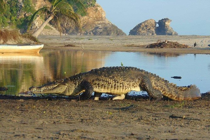 Nature Sun and 5 Beaches in the Magic Town of Mazunte - Guided Tours From Puerto Escondido