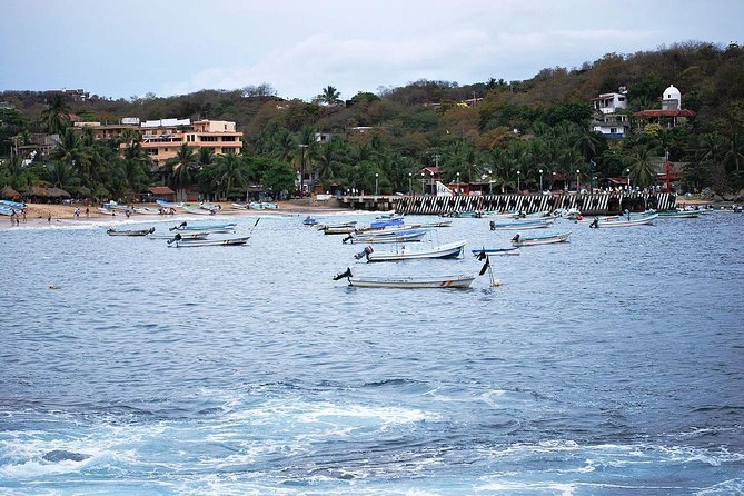 Nature Sun and 5 Beaches in the Magic Town of Mazunte - Frequently Asked Questions