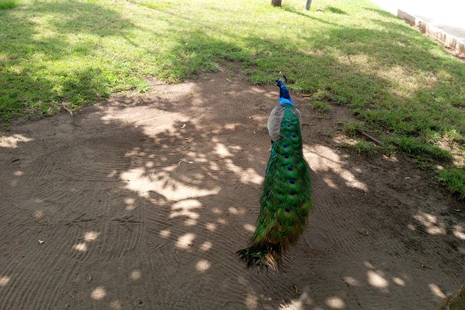 Nature Thrills - Itinerary Highlights