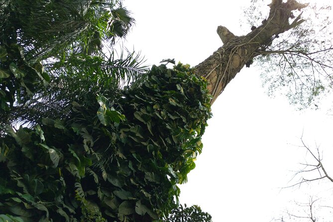Nature Thrills - Additional Information