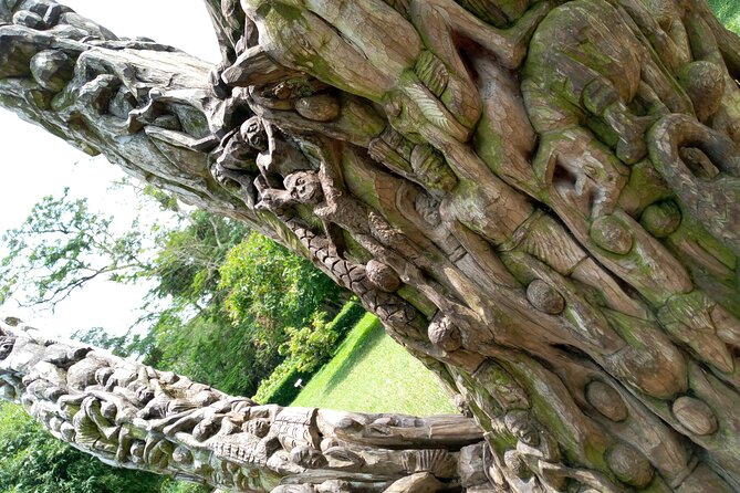 Nature Thrills - Aburi Botanical Gardens