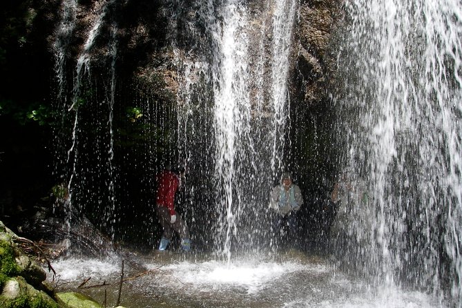 Nature Tour Around Waterfalls That Flow From the Beech Forest in Nishiwaga Town, Iwate Prefecture - Tour Schedule