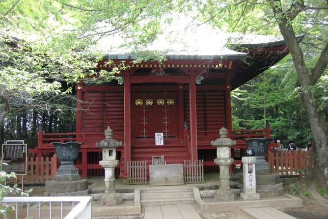 Nature Tour at Mt. Takao - Cancellation Policy