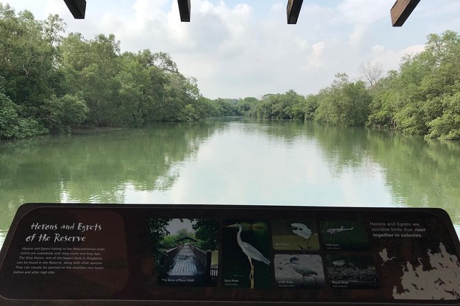 Nature Tour - Migratory Bird Season