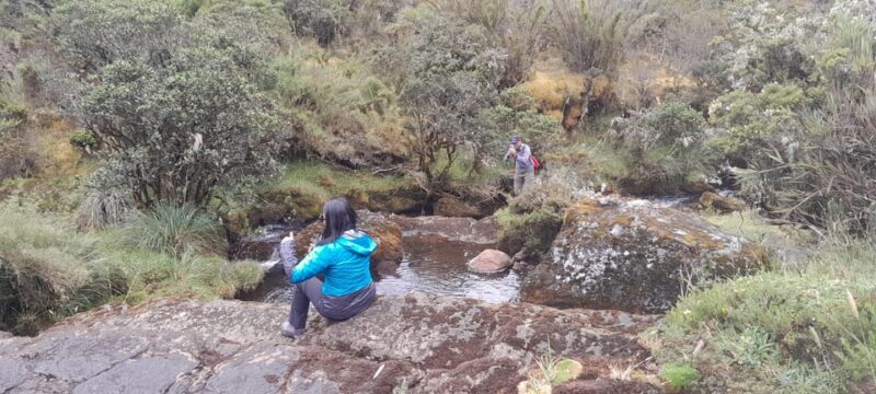 Nature Tour Near Bogota in Chingaza - Itinerary Details