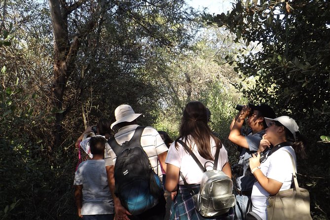 Nature Tour, Pómac Forest With Picnic Breakfast Included. - Review Summary