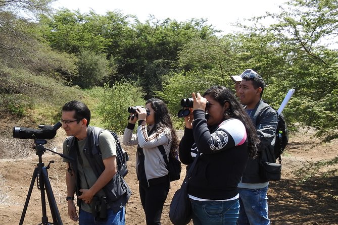 Nature Tour, Pómac Forest With Picnic Breakfast Included. - RUNA Turismo: Your Adventure Partner