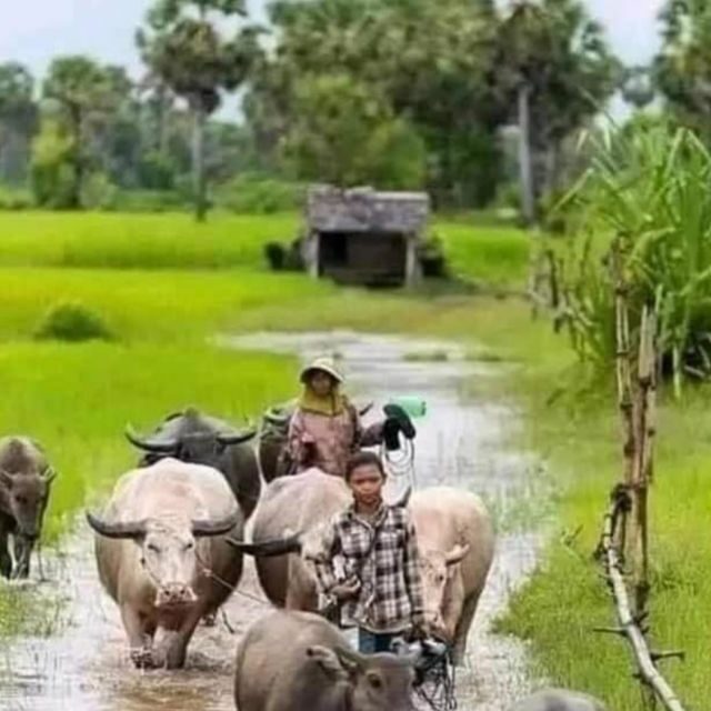 Nature tour through Battambang/Local area and landmarks - Wrapping It Up
