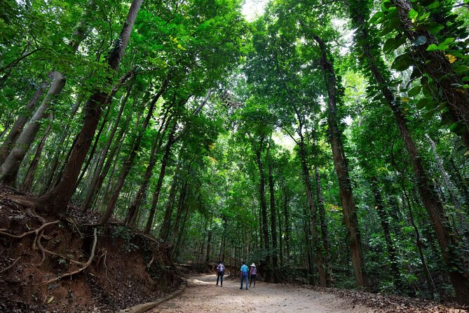 Nature Tour to Udawatte Kele Sanctuary, Kandy From Bentota - Nature Tour Details