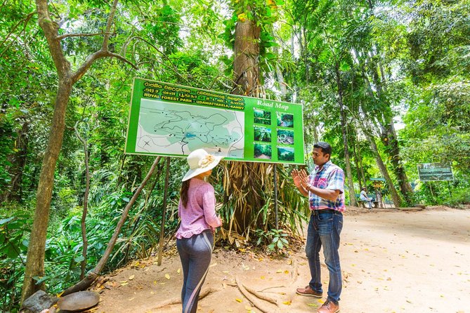 Nature Tour to Udawatte Kele Sanctuary, Kandy From Bentota - Exploring Senkada Cave