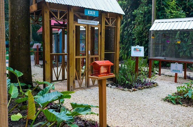 Nature Trail, Tram & Rum Tasting at Harrison's Cave by Chukka - FAQ