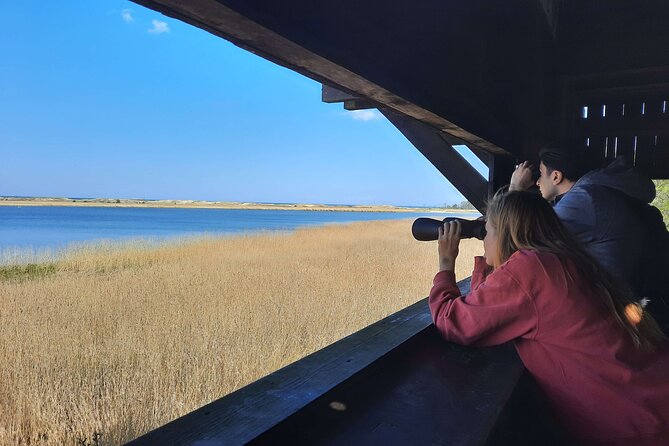 Nature Walk and Wildlife Tour in Sobieszewo Island - Experiencing Sobieszewo Island