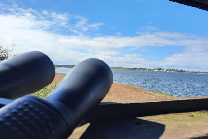 Nature Walk and Wildlife Tour in Sobieszewo Island - Knowledgeable Local Guide