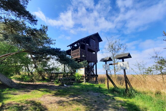 Nature Walk and Wildlife Tour in Sobieszewo Island - Scenic Landscapes and Beaches