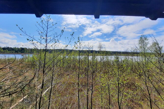 Nature Walk and Wildlife Tour in Sobieszewo Island - Important Information for Travelers