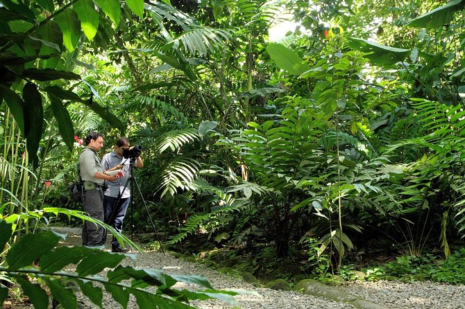 Nature Walk at Ecological Park and Butterfly Garden Danaus - Exploring the Rainforest and Wetlands