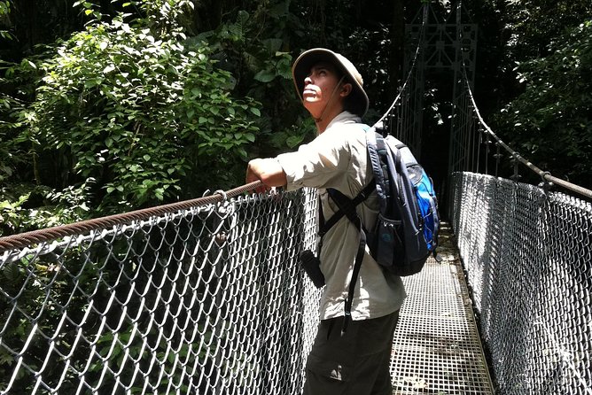 Nature Walk at Mistico Park Hanging Bridges - Positive Visitor Feedback and Testimonials