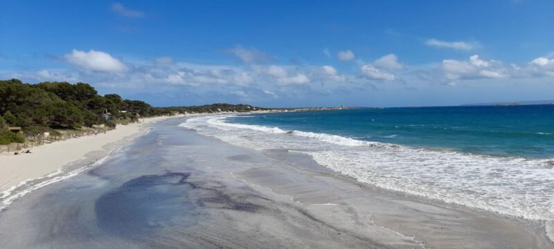 NATURE WALK + BEACH, YOGA & OPTION OF HEALTHY BIO PICNIC - Pickup Location Options