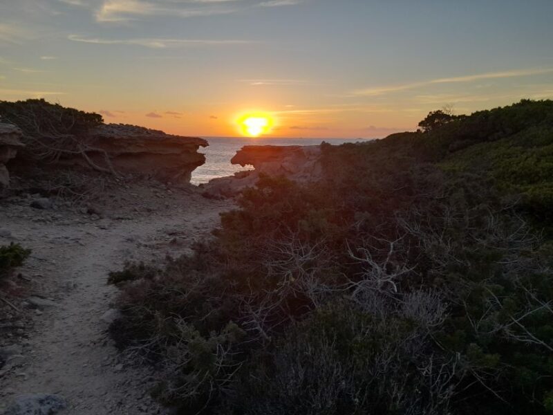 NATURE WALK + BEACH, YOGA & OPTION OF HEALTHY BIO PICNIC - Nature Walk and Pine Forest