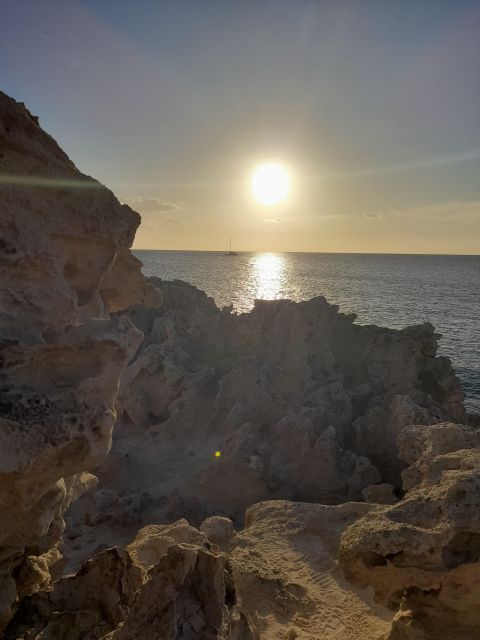 NATURE WALK + BEACH, YOGA & OPTION OF HEALTHY BIO PICNIC - Salt Flats and Wildlife