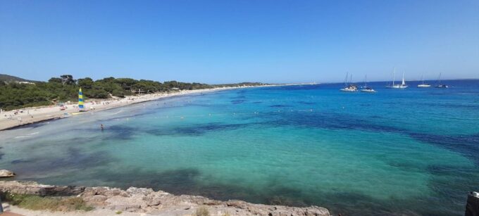 NATURE WALK + BEACH, YOGA & OPTION OF HEALTHY BIO PICNIC - Frequently Asked Questions