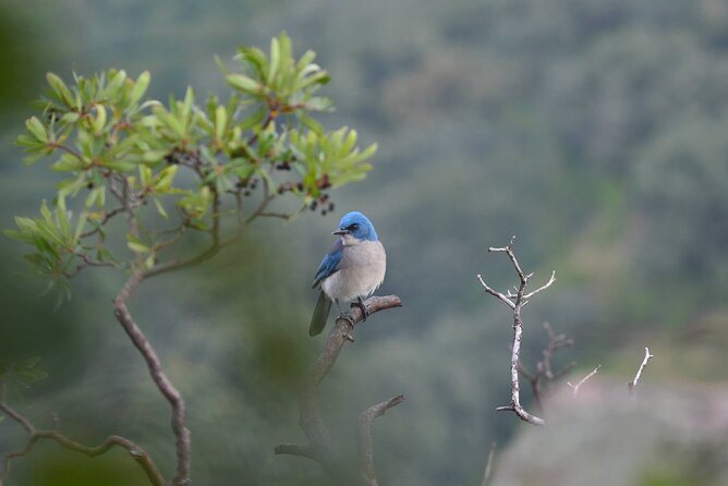 Nature Walk - Bufa Hill or Santa Rosa Area - Key Points