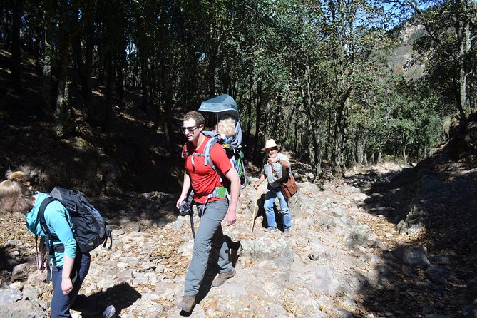 Nature Walk - Bufa Hill or Santa Rosa Area - Reviews