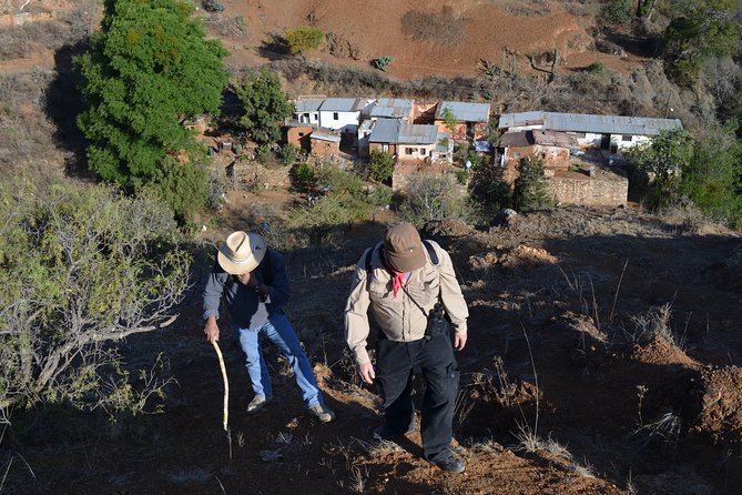 Nature Walk - Bufa Hill or Santa Rosa Area - Logistics